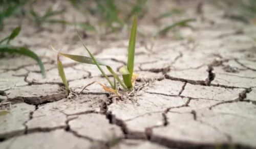 Депутат Түркістан облысында төтенше жағдай  жариялауды ұсынды