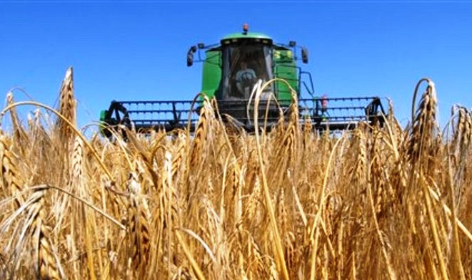 Ақмола астығы Еуропаға жол тартты