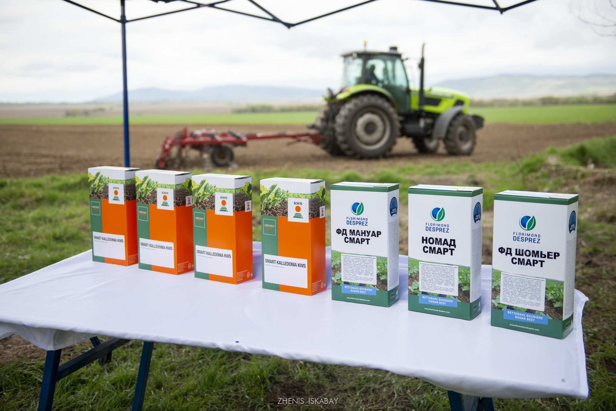 Майлы зығыр өсіреді