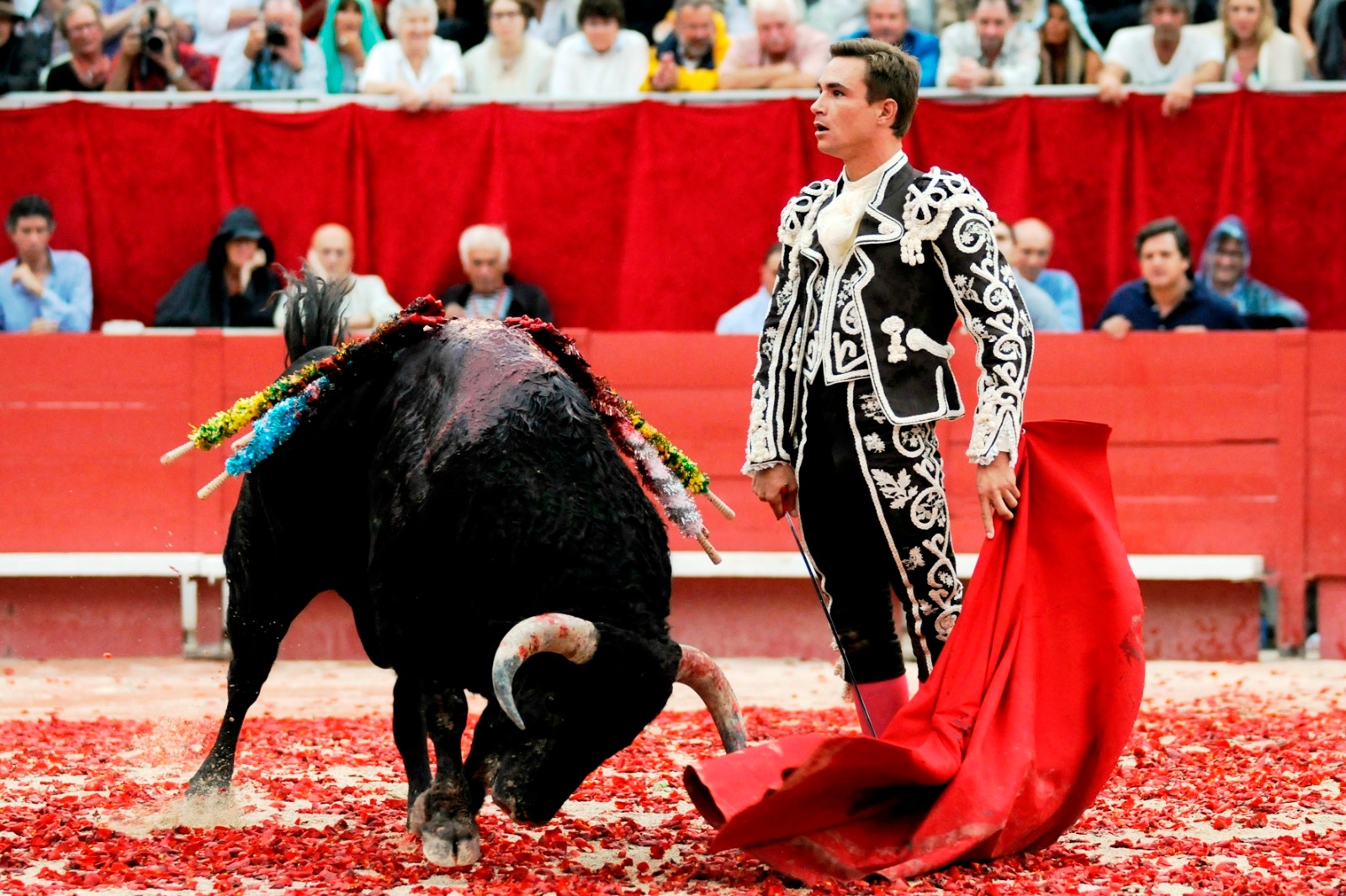 Коррида шындығы