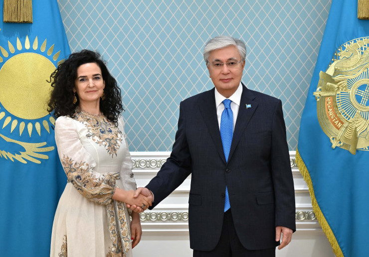 Президент Жасыл климат қорының атқарушы директорын қабылдады