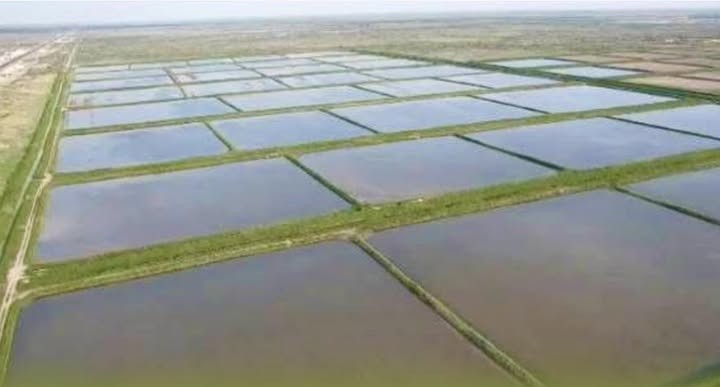 Алқаптар тегістеліп, арналар жаңартылды