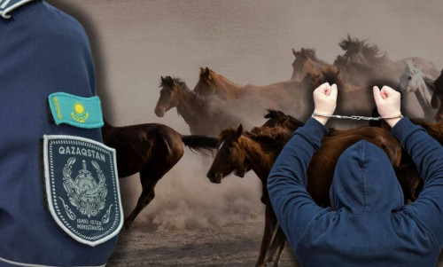 Түркістан облысында мал ұрылары ұсталды