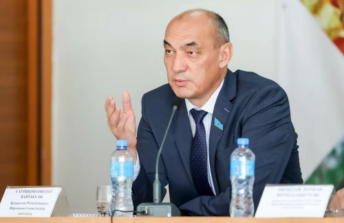 Импортталатын көкөністер азық-түлік қауіпсіздігіне қатер төндіреді - депутат