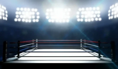 Бокстан Әлем кубогінің кезеңіне 33 ел тіркелді