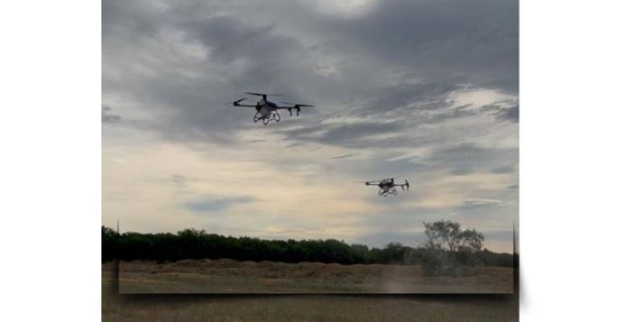 Алматы облысында шегірткеге қарсы күрес жалғасып жатыр