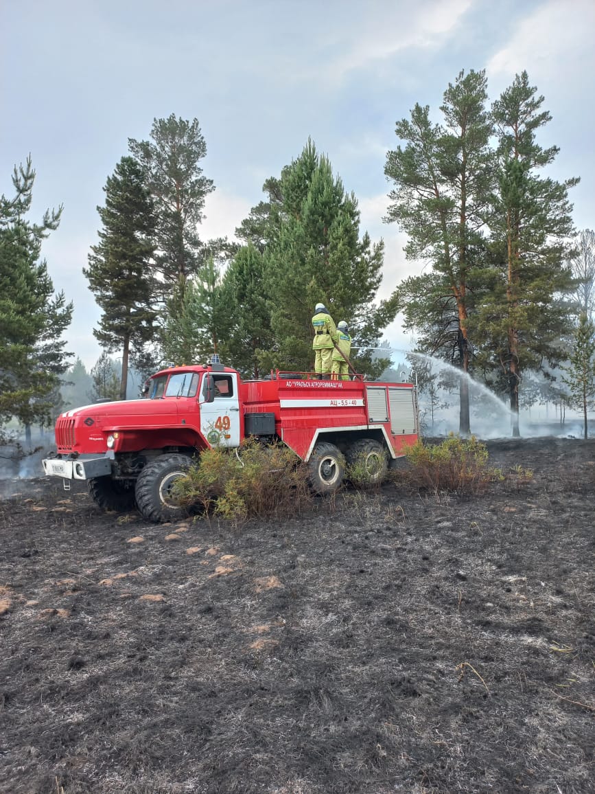 Ертіс орманына найзағай түсіп, өрт шықты