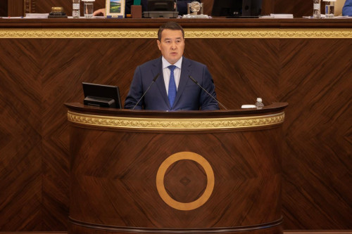 Ә.Смайылов дәрімен қамту саласындағы кемшіліктерді атады