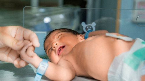 Алматыда сәбилерді сату схемасы анықталды