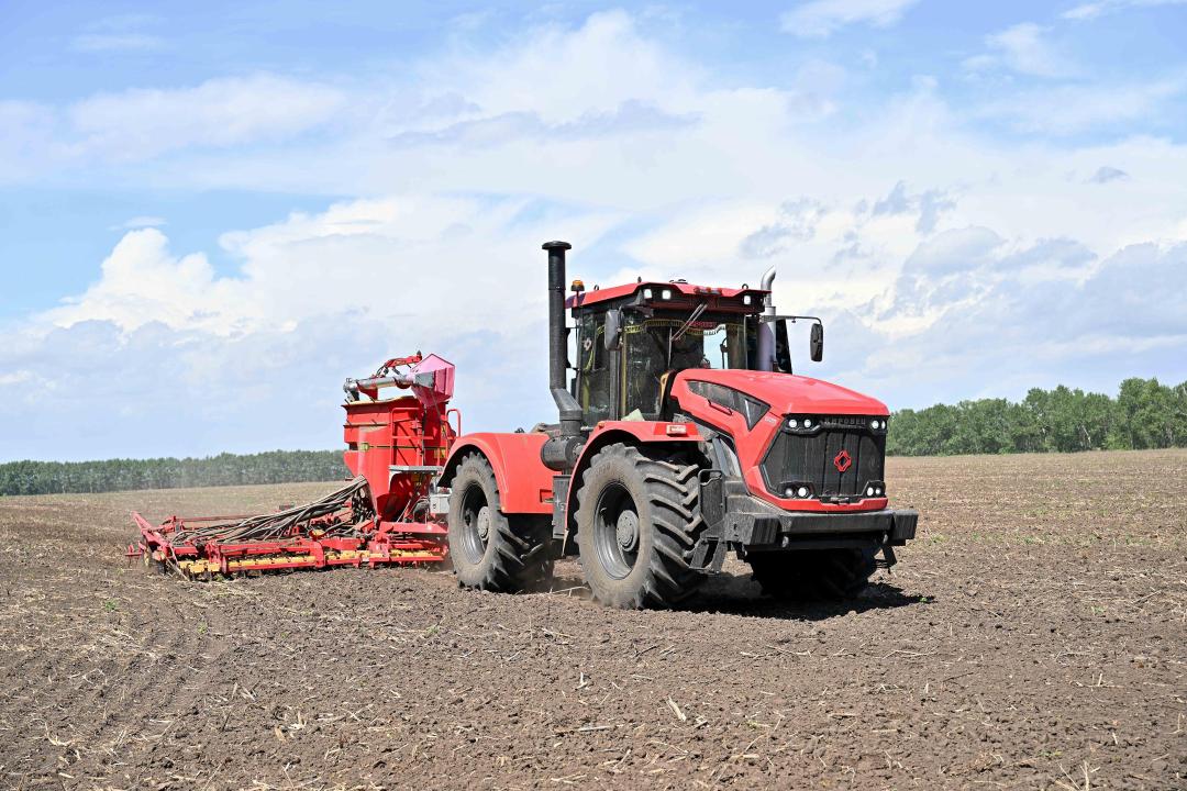 Майлы дақылдың маңызы зор