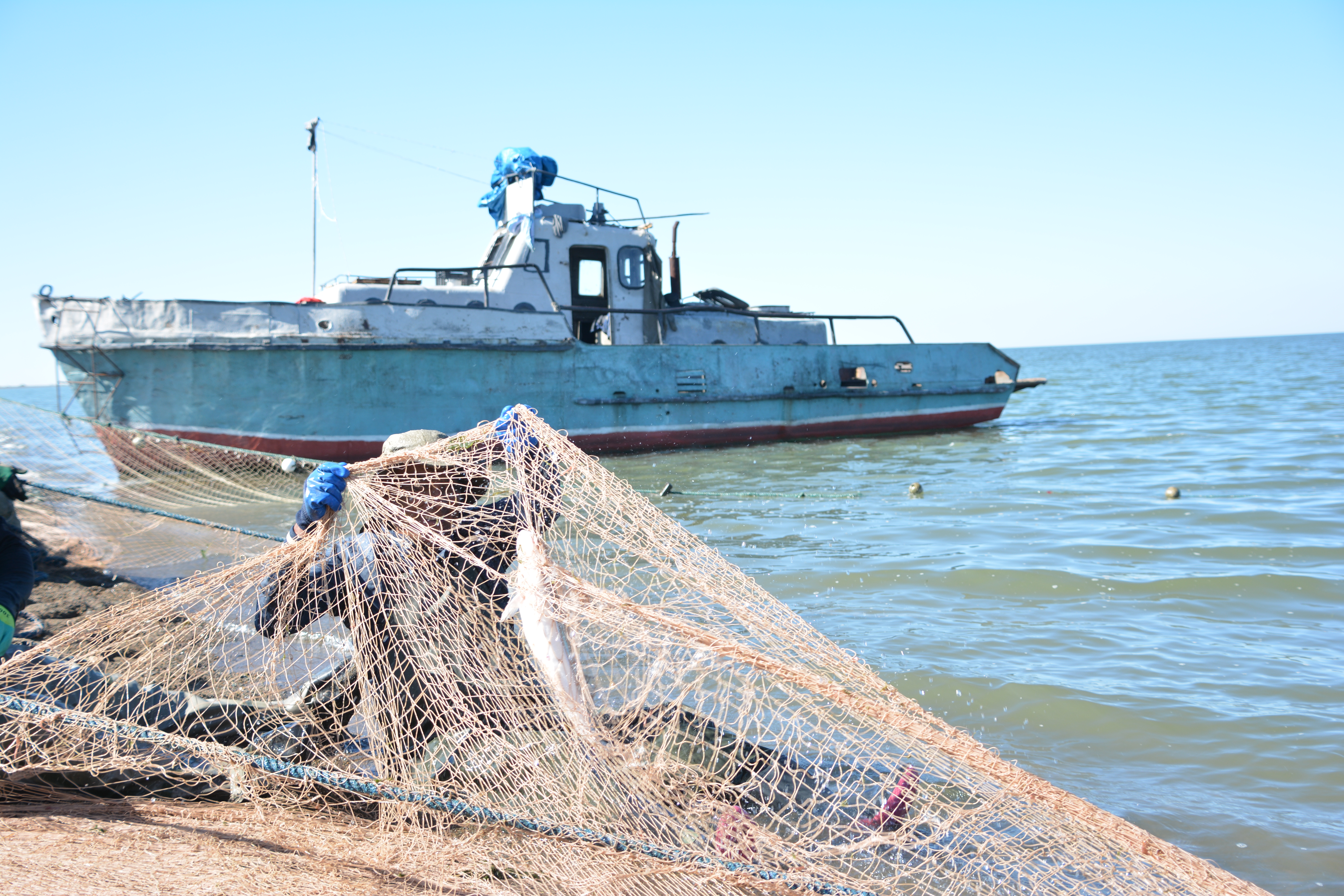 Заңсыз балық аулаушыларға 10 млн теңге айыппұл салынды