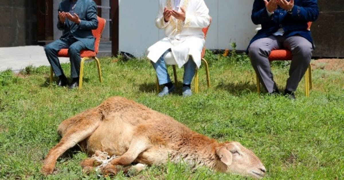 Қарызы бар адам құрбандық шалмай ма?