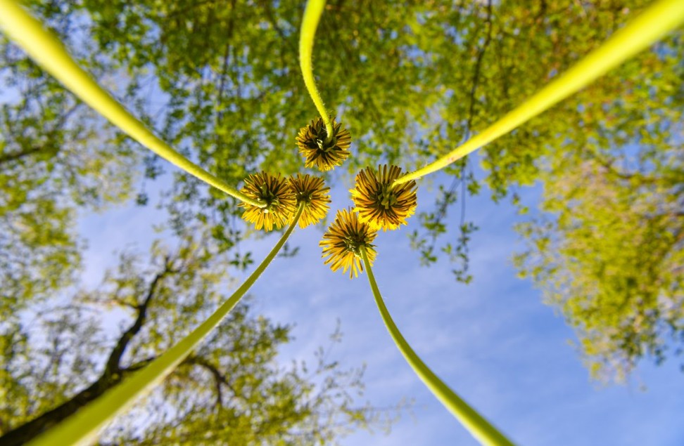 Таза табиғат – ұрпаққа аманат