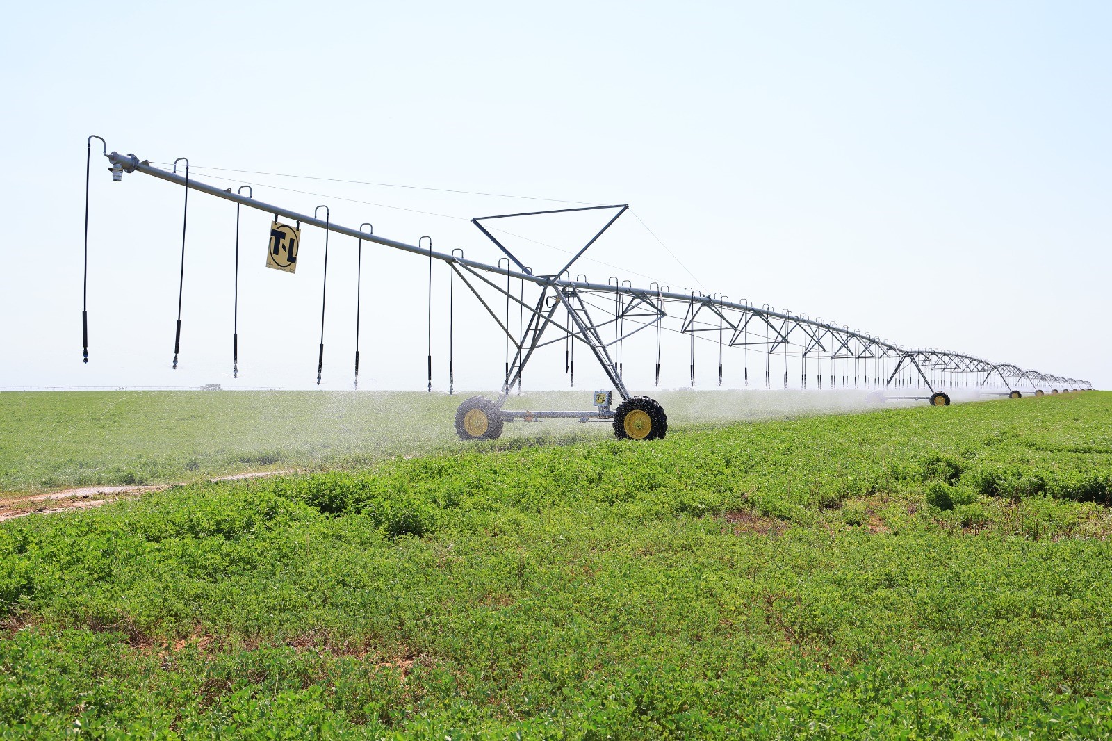 Туған жерге тірек болар жоба