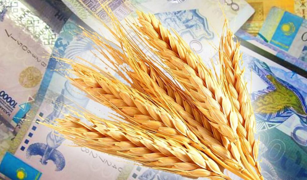 Қостанай облысында 96 млн теңге субсидия жымқырылды