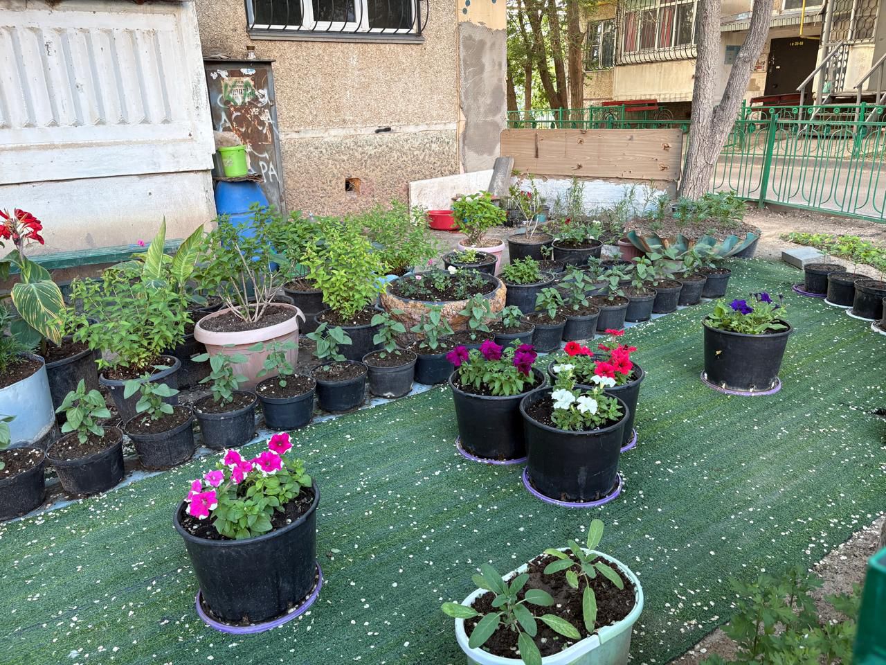 «Таза аула» конкурсының жеңімпаздары анықталды