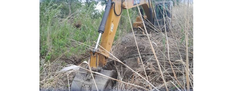 ШҚО-да суару каналы тазартылды