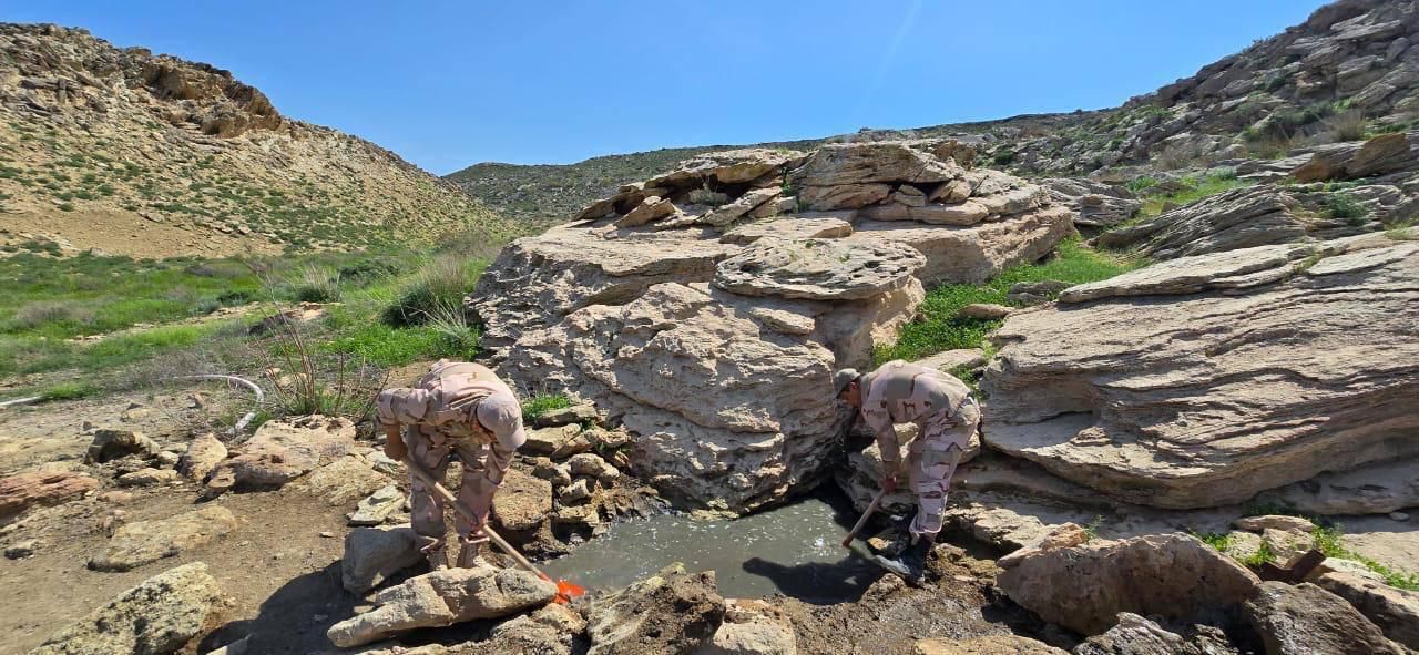 Маңғыстауда биыл 31 мыңнан астам ағаш отырғызылады