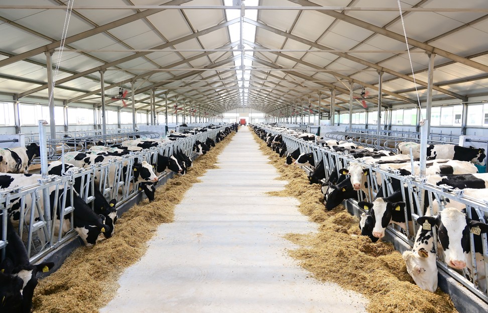 Ауылдан ашылған «ақылды» ферма