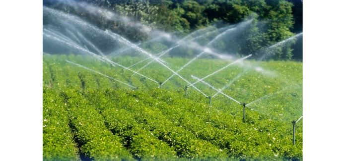 Биыл диқандарға былтырғыдан 335 млн текше метрге артық су берілді