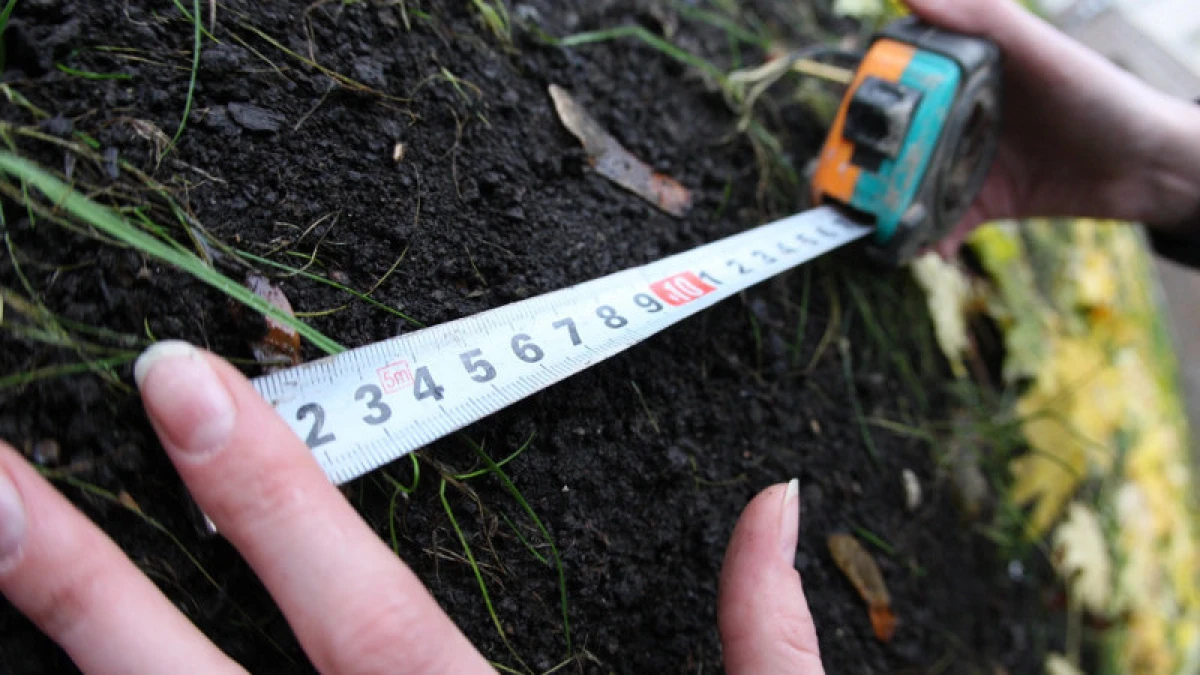 Ақмола облысында  жер телімі мемлекетке қайтарылды