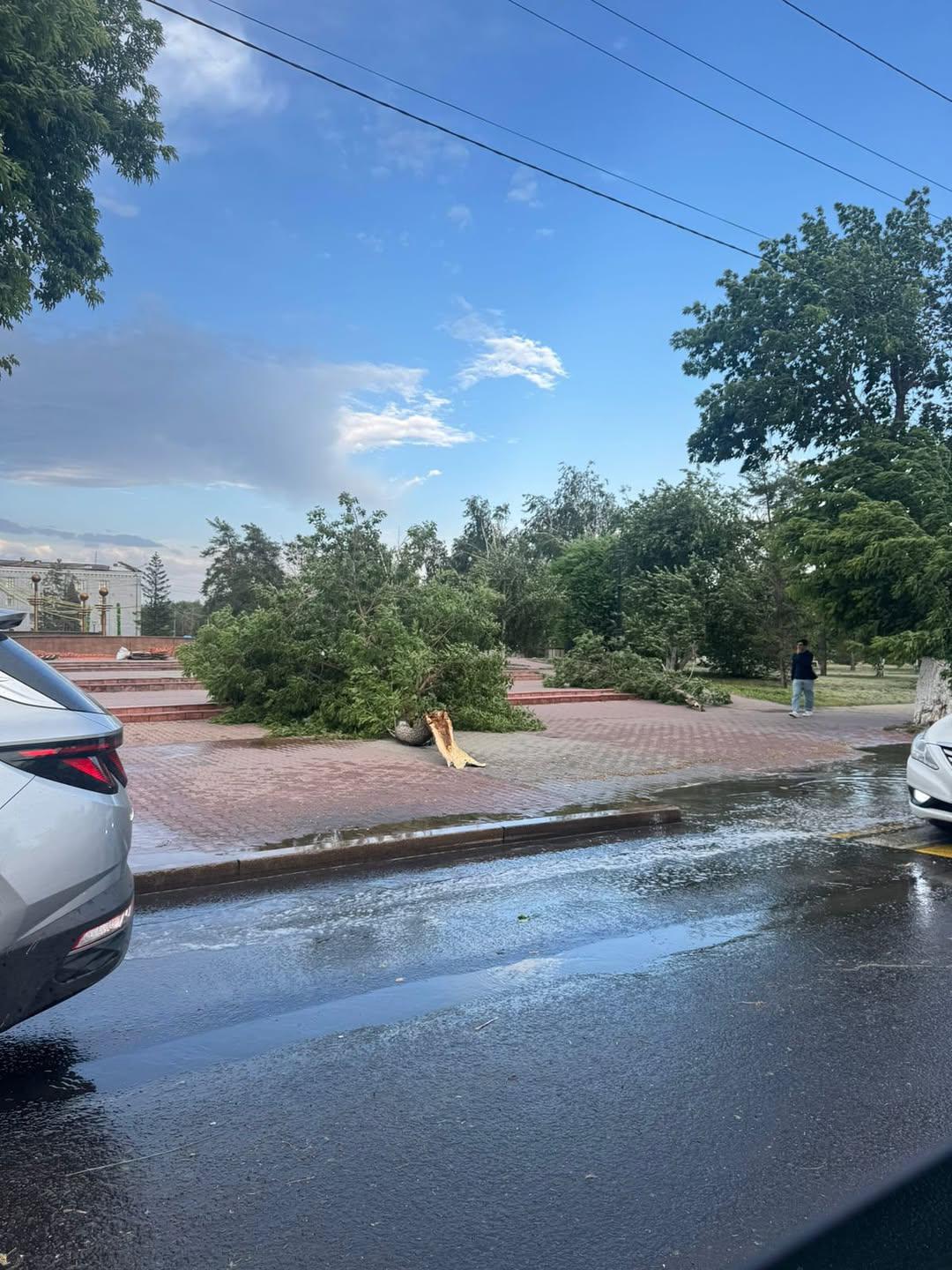 Павлодар облысында дауылдан 16 адам зардап шеккен