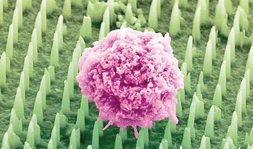 Ауыртпайтын амал