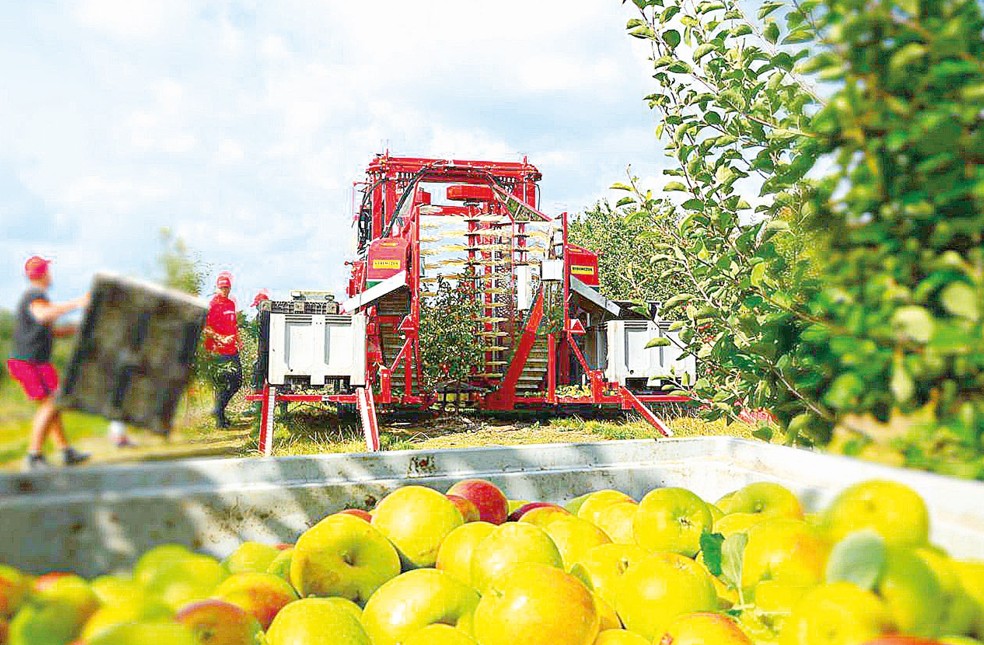 90 тонна өнім жинайды