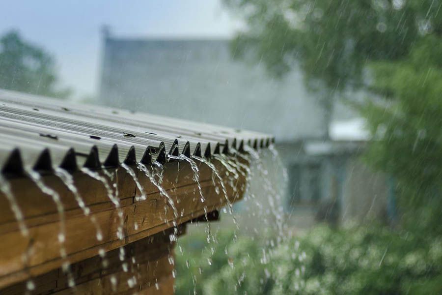 Елімізде күн күркіреп, жаңбыр жауады