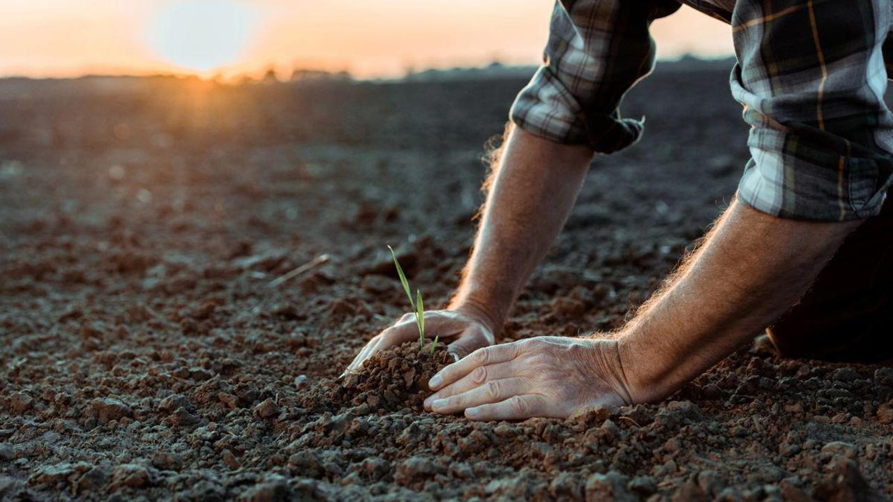 Екі облыста фермерлік далалық мектептер ашылады