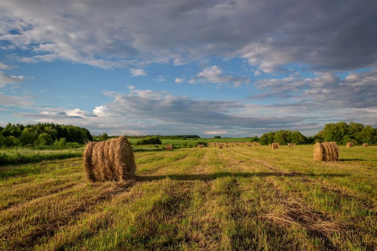 Шабындық мәселесі шешімін табады