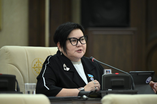 Балабақша жүйесі түбегейлі реформаны қажет етеді -  депутат