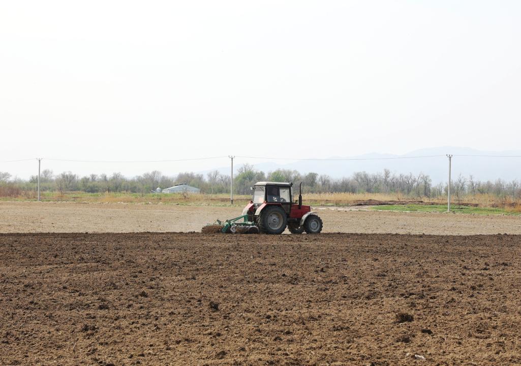 Көктемгі дала жұмыстары аяқталды