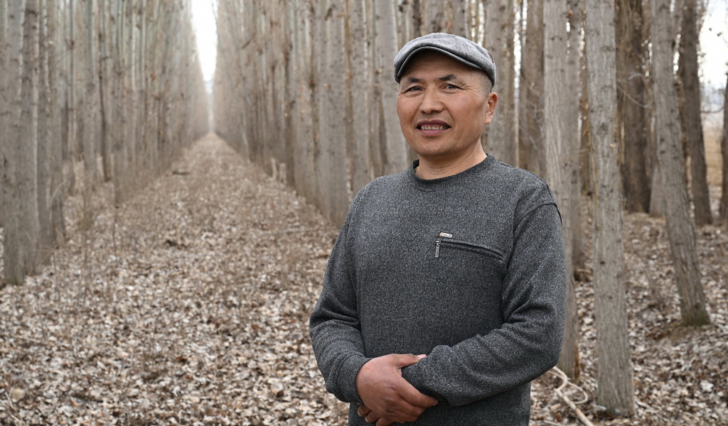 Көктерекпен көркейген Еркін