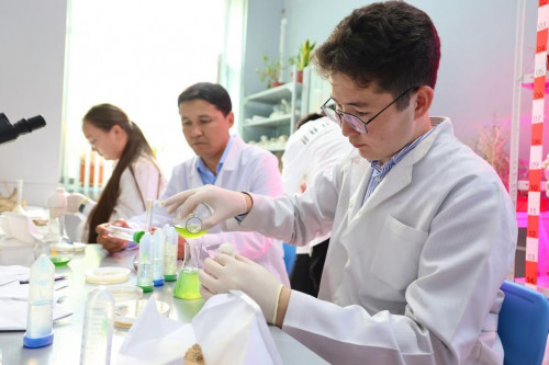 Экожүйені өсімдікпен қалпына келтіру әдісі табылды