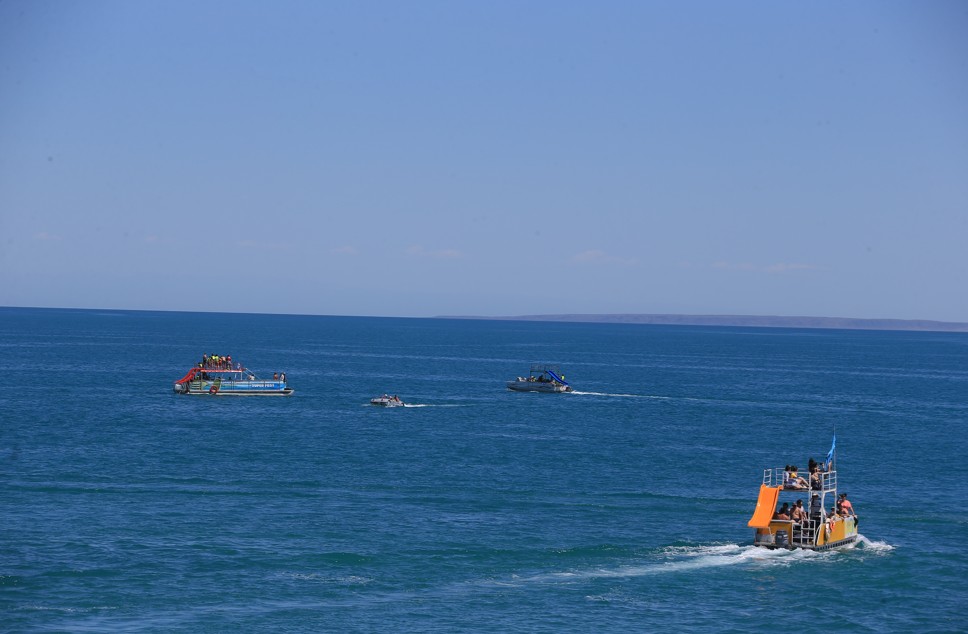 Жетісуға жетелейтін жеті себеп