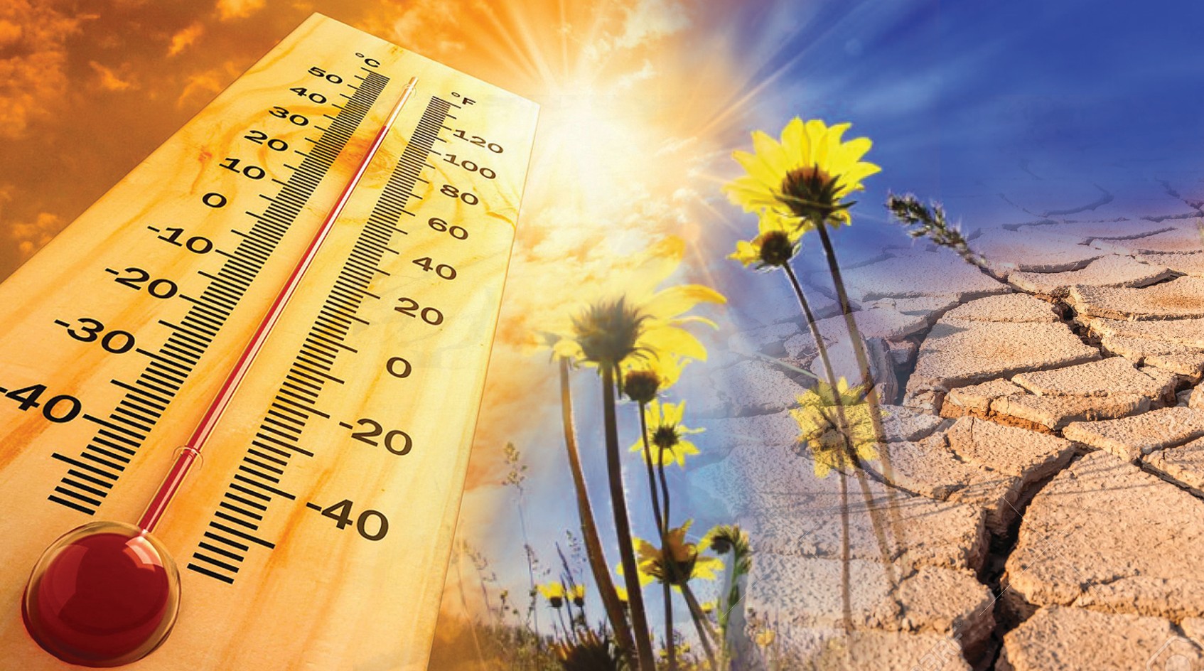 Оңтүстік Кореяда аптап ыстықтан бес адам қаза тапты