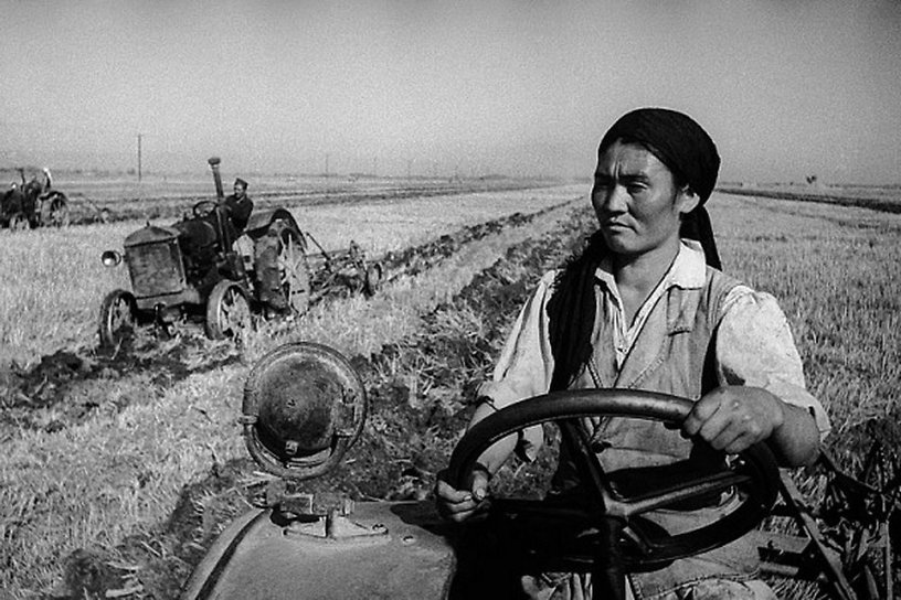 Трактор тізгіндеген әйелдер