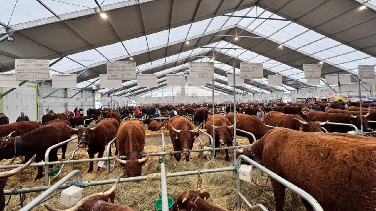 СҚО-да 22 ірі инвестициялық агрожоба іске асырылады