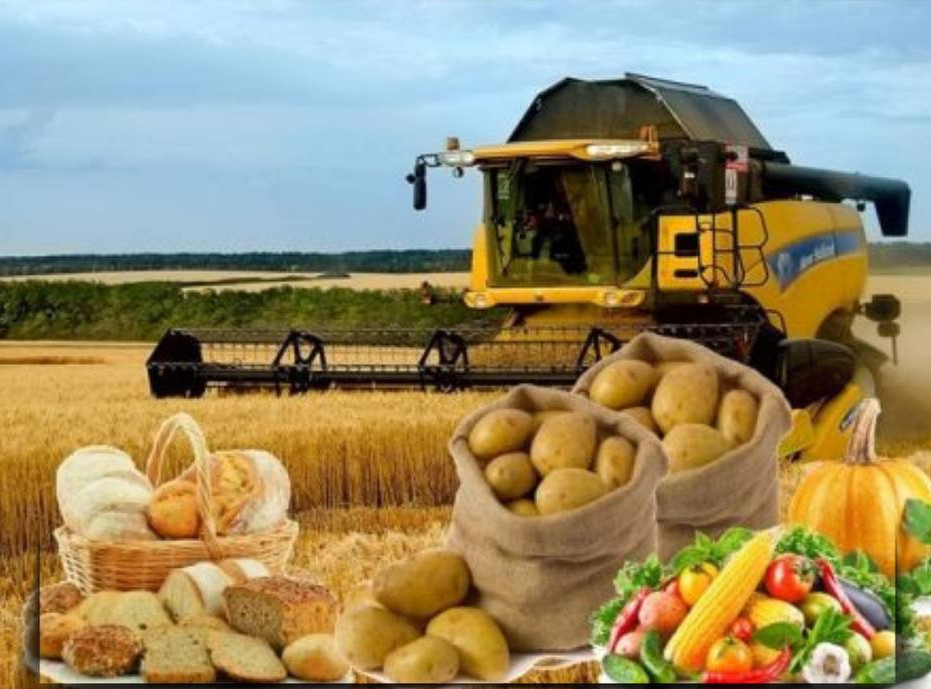 Қазақстанда тамақ өнімдерінің өндірісі артты