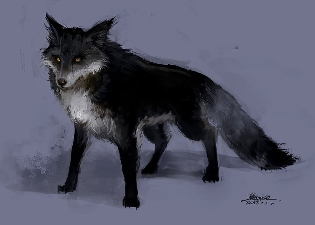 Қара түлкі –  қармалжық