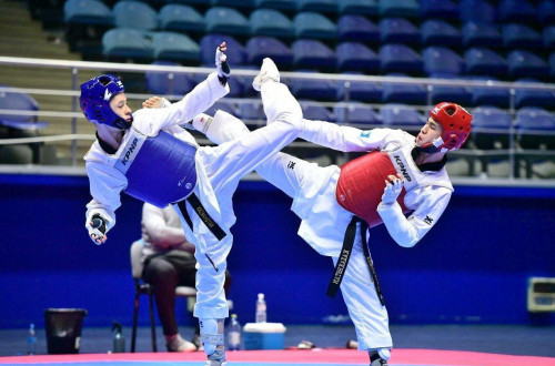 Жарыс күнделігі