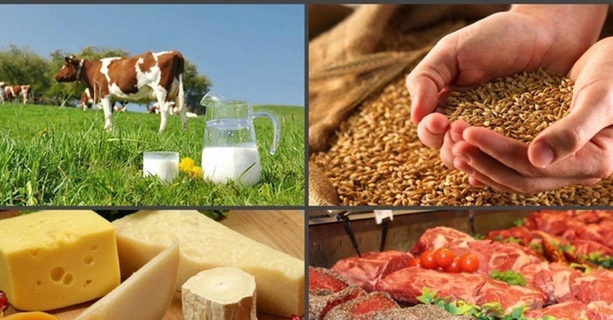 ЕЭК еліміздің агроөңдеу саласындағы тәжірибесіне шолу жасады