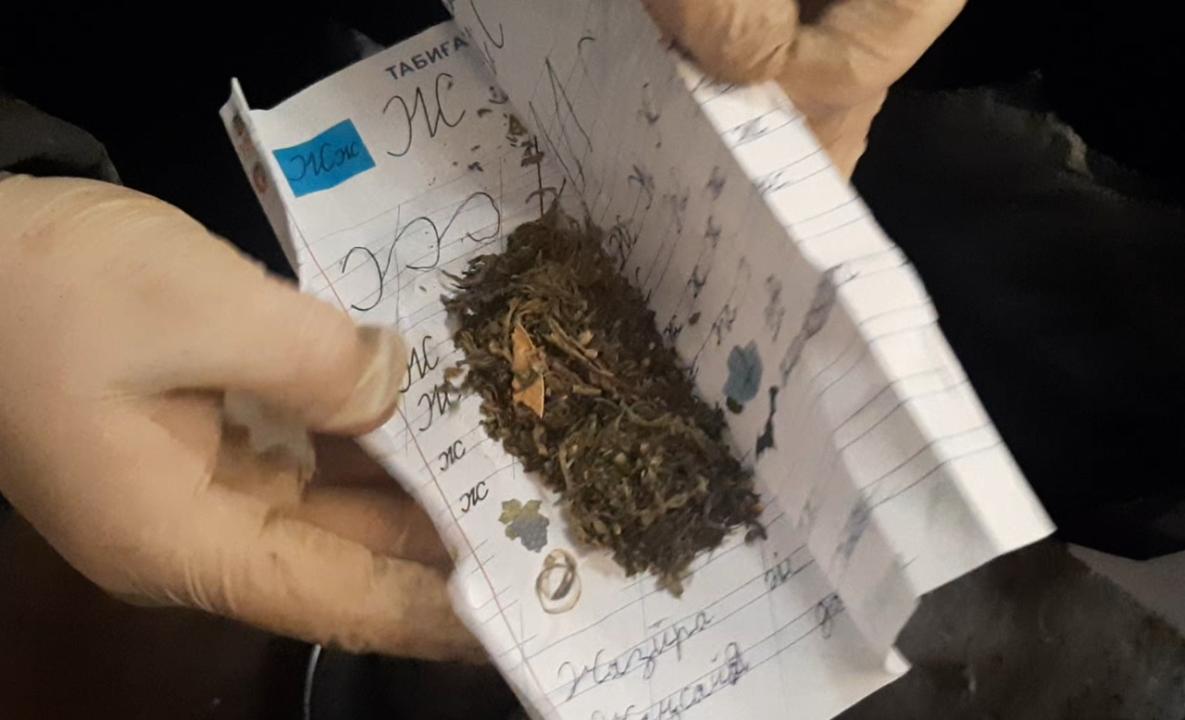 Ақмола облысында бір айда 24 есірткі қылмысы тіркелген