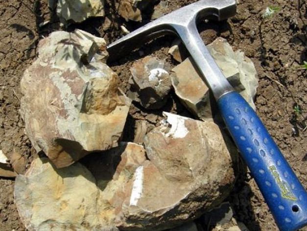 Геологиялық барлауға 30 миллиард теңге бөлінеді