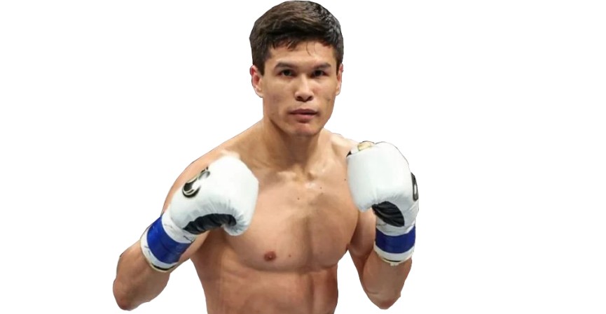 Жерлестеріміздің жарқын жеңісі