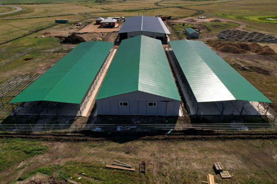 Солтүстік Қазақстанда бие сүтін өндіретін зауыт іске қосылады