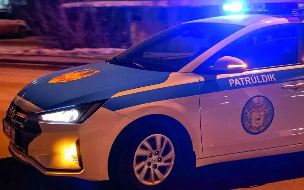 Алматы облысында ауыл әкімі мінген көлік аударылып қалды