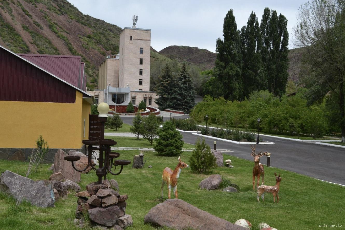 Шипажайға жолдама алудың тиімді тәртібі