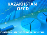 Қазақстанның статистикалық жүйесі жоғары бағаланды